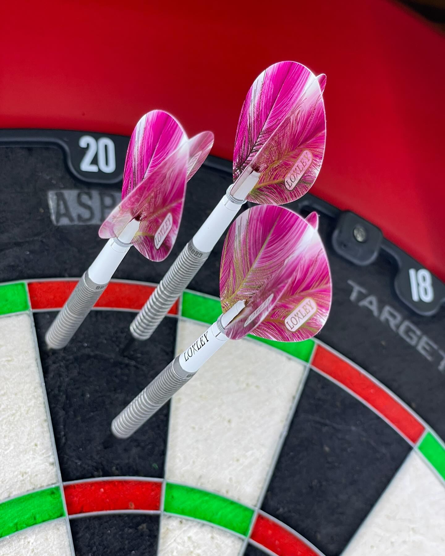 2 grappig met de nieuwe loxley, red dragon from dartshopper  #yesdartshopper 😂❤️✌️