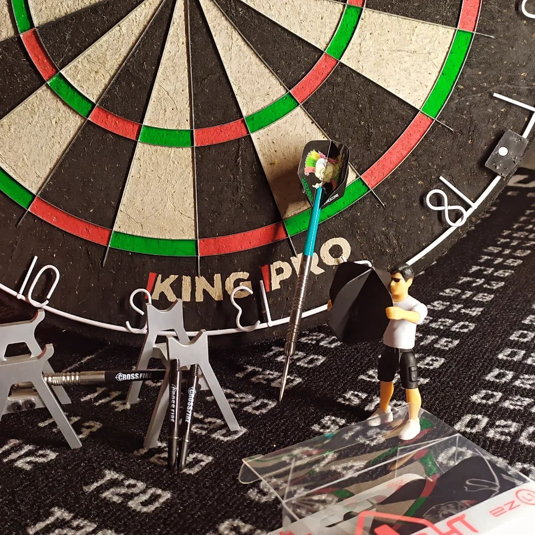 #dartshopper #wplcastom #WPLB14 #darts #modelrc #dartfun #lstyle #snikebite #modelrc