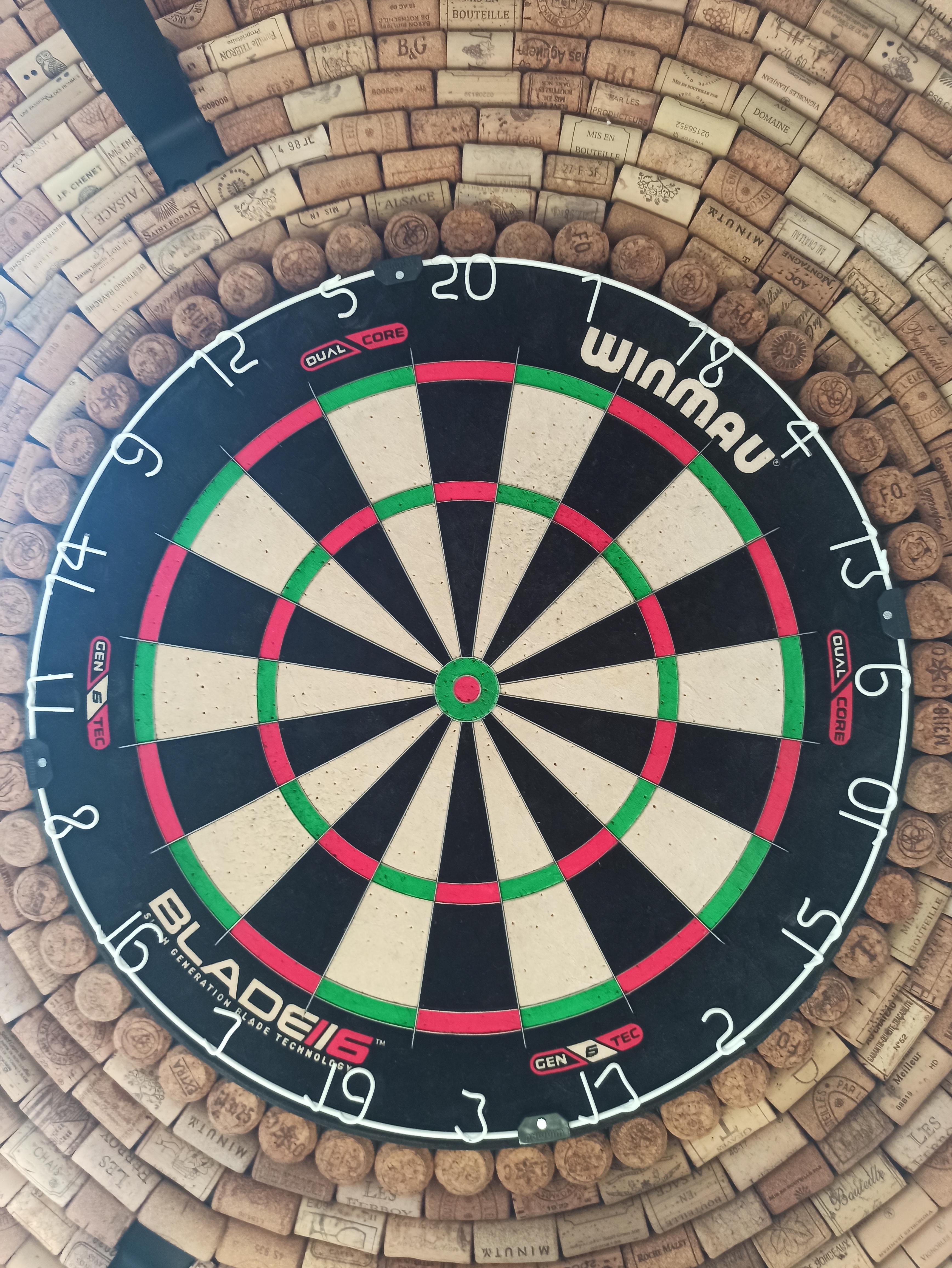 Winmau blade 6 dual core