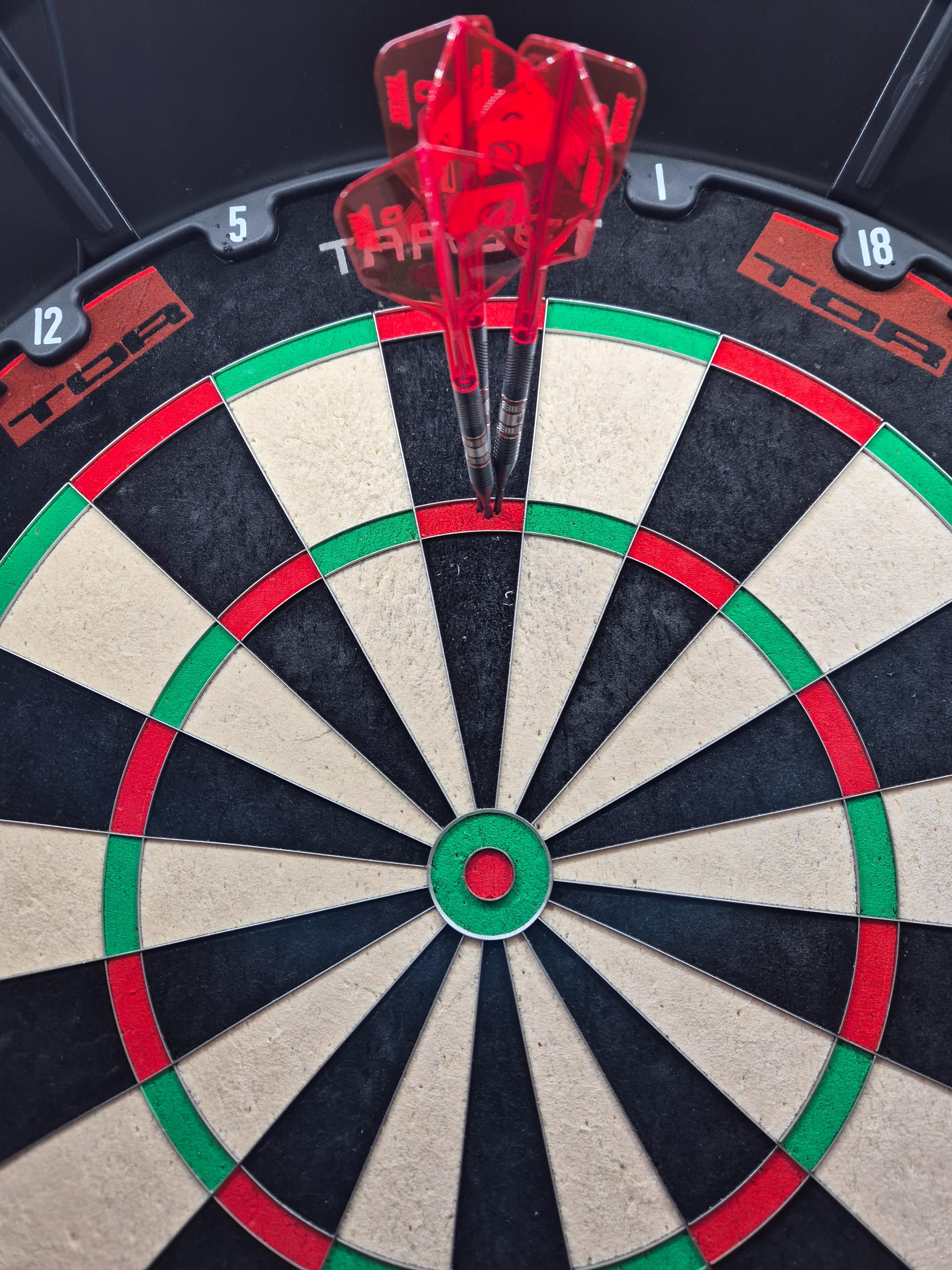 Target Gabriel Clemens 95K Swiss Point 95% - Dartpfeile