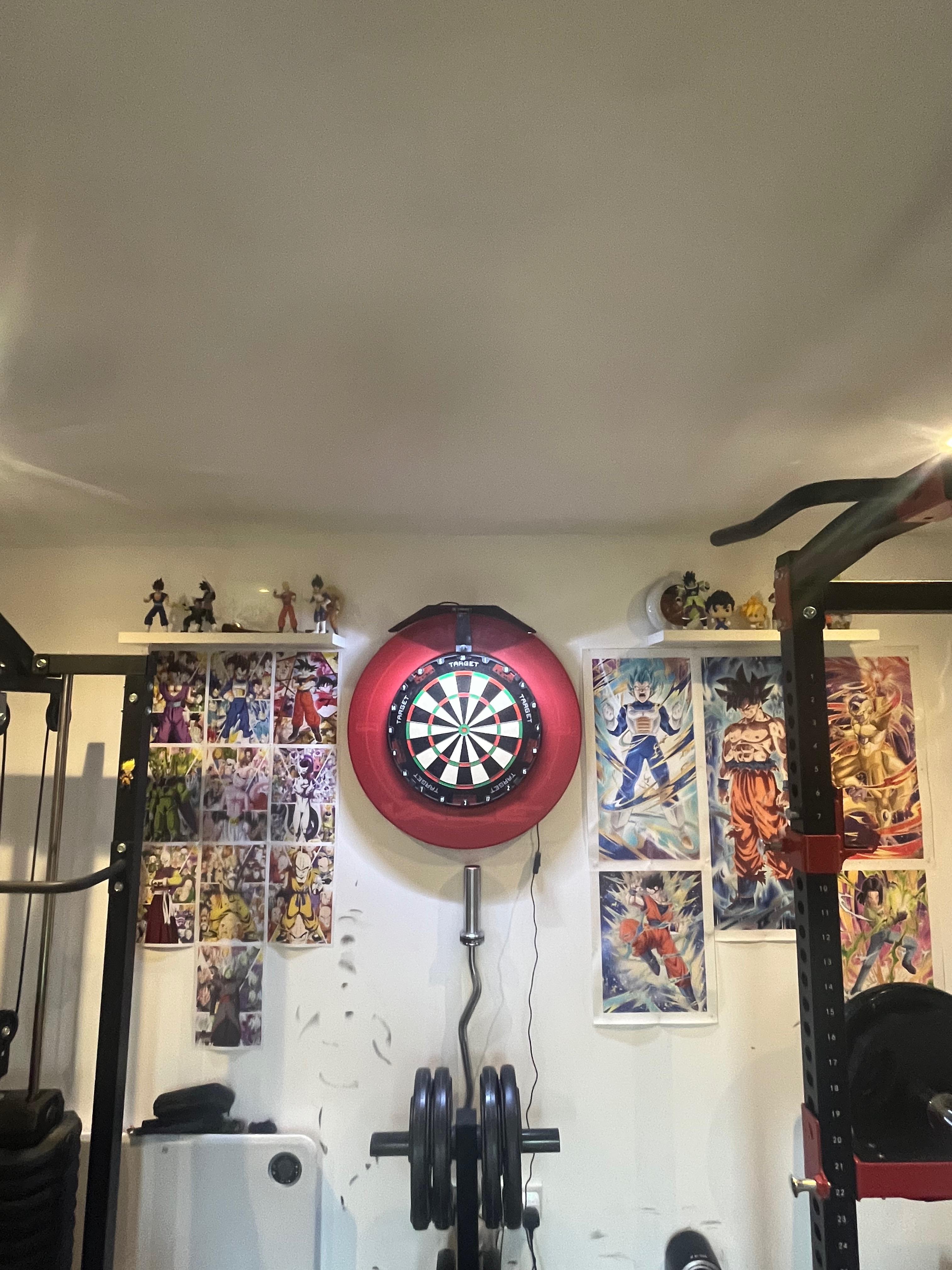 Dartshopper purchase 