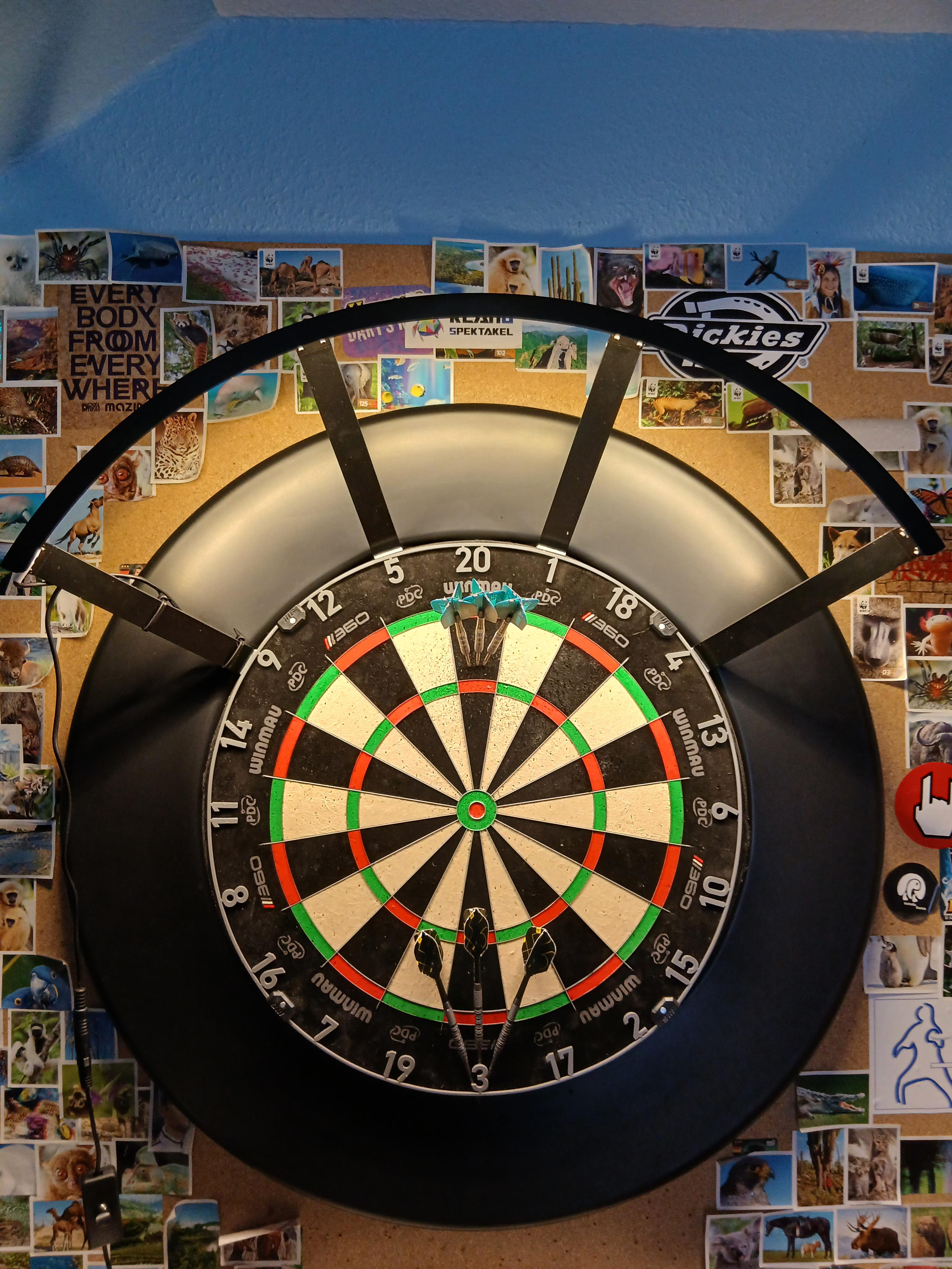 Mein neues Dart-Setup