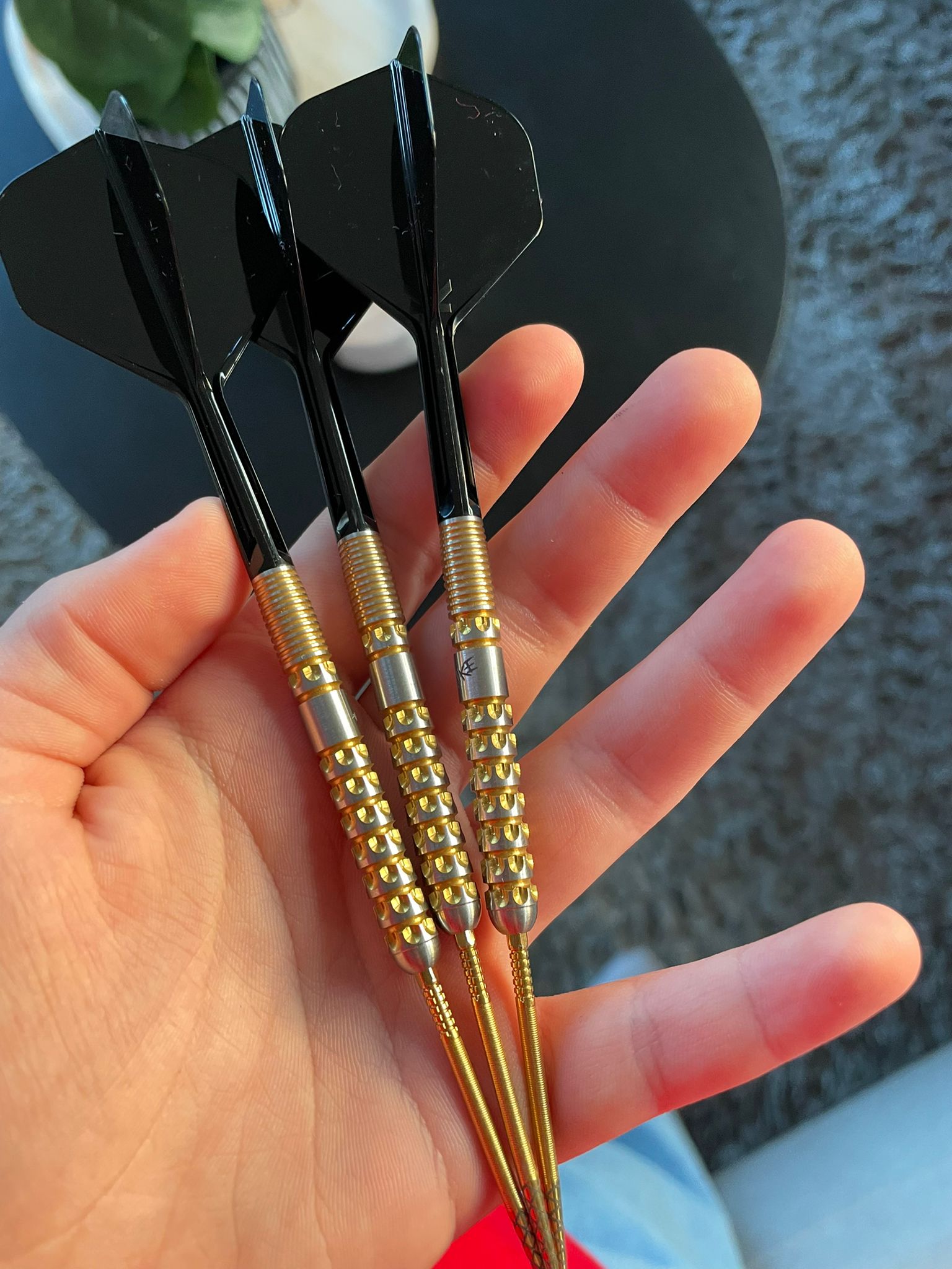 Target Luke Littler G1 Prodigy Swiss Point 90%