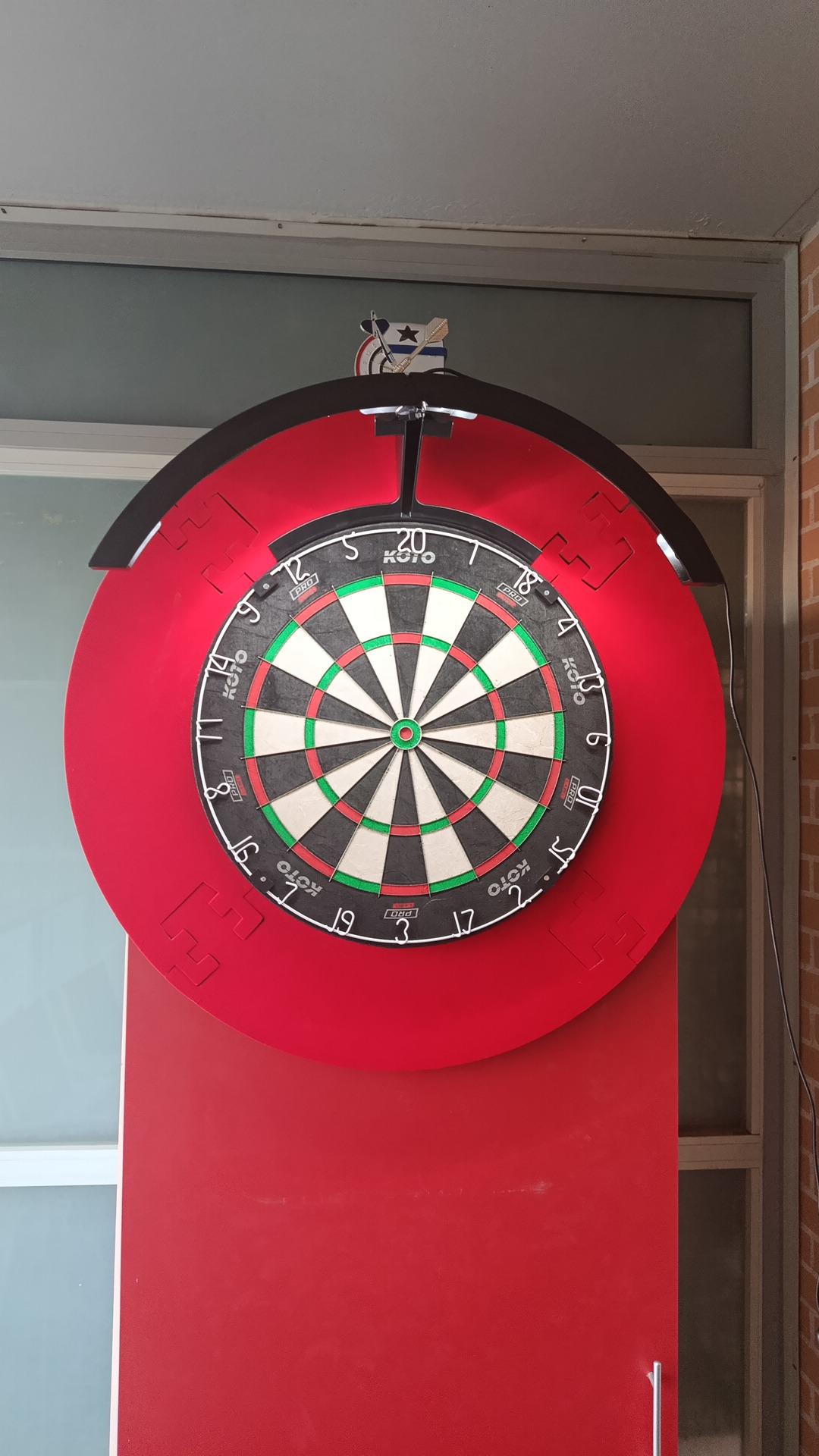 Dartboard with protector and light