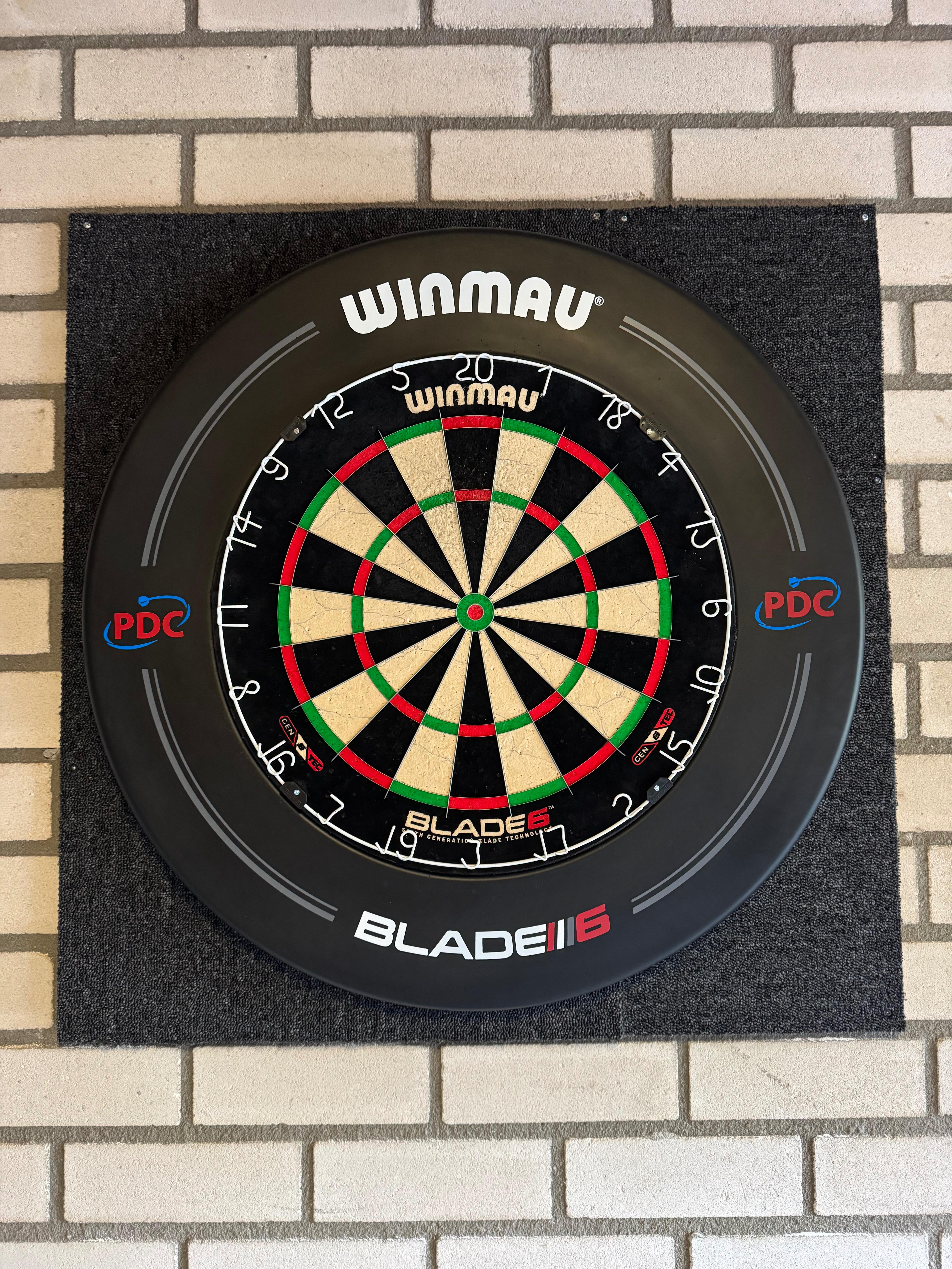 Dartbord + surround