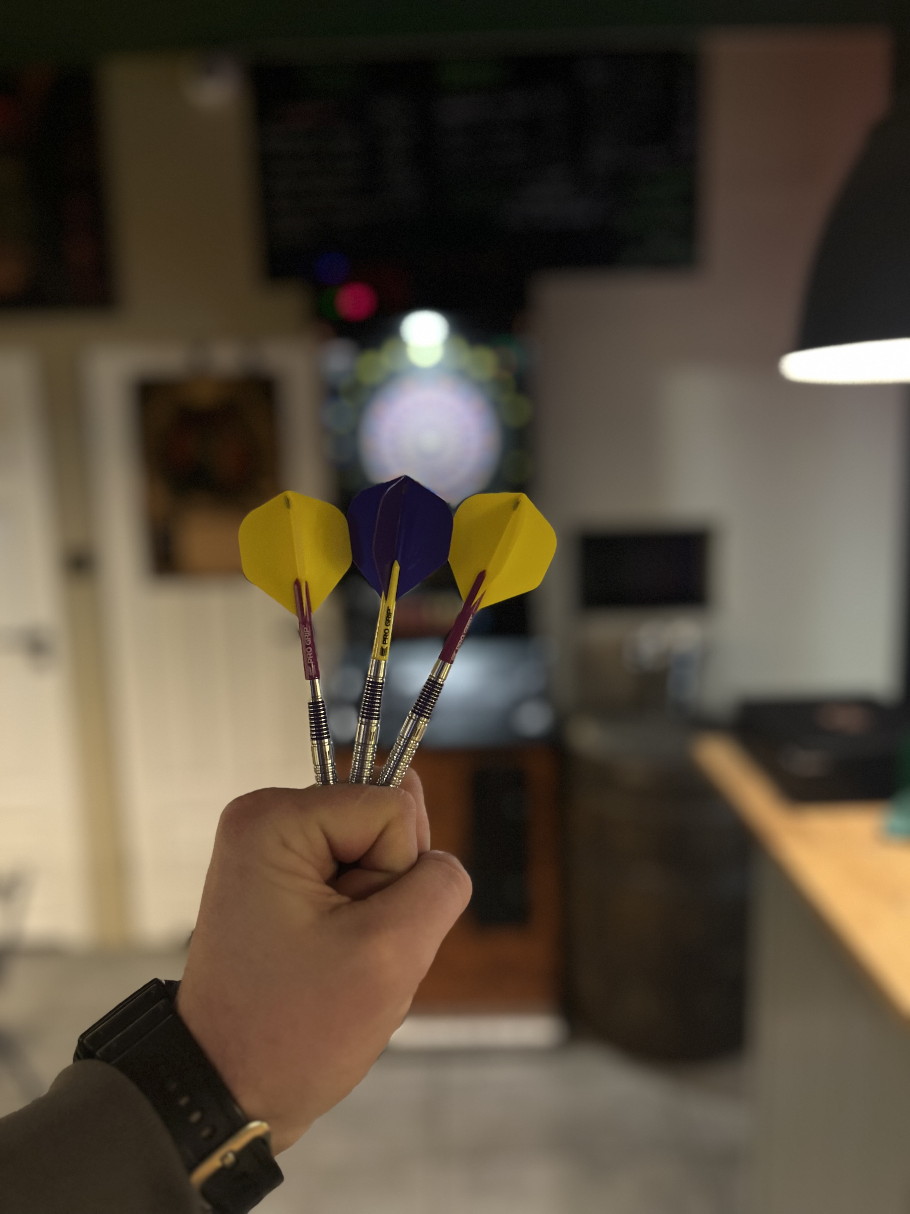 „Pod Zielony Dzięciołem” dart day