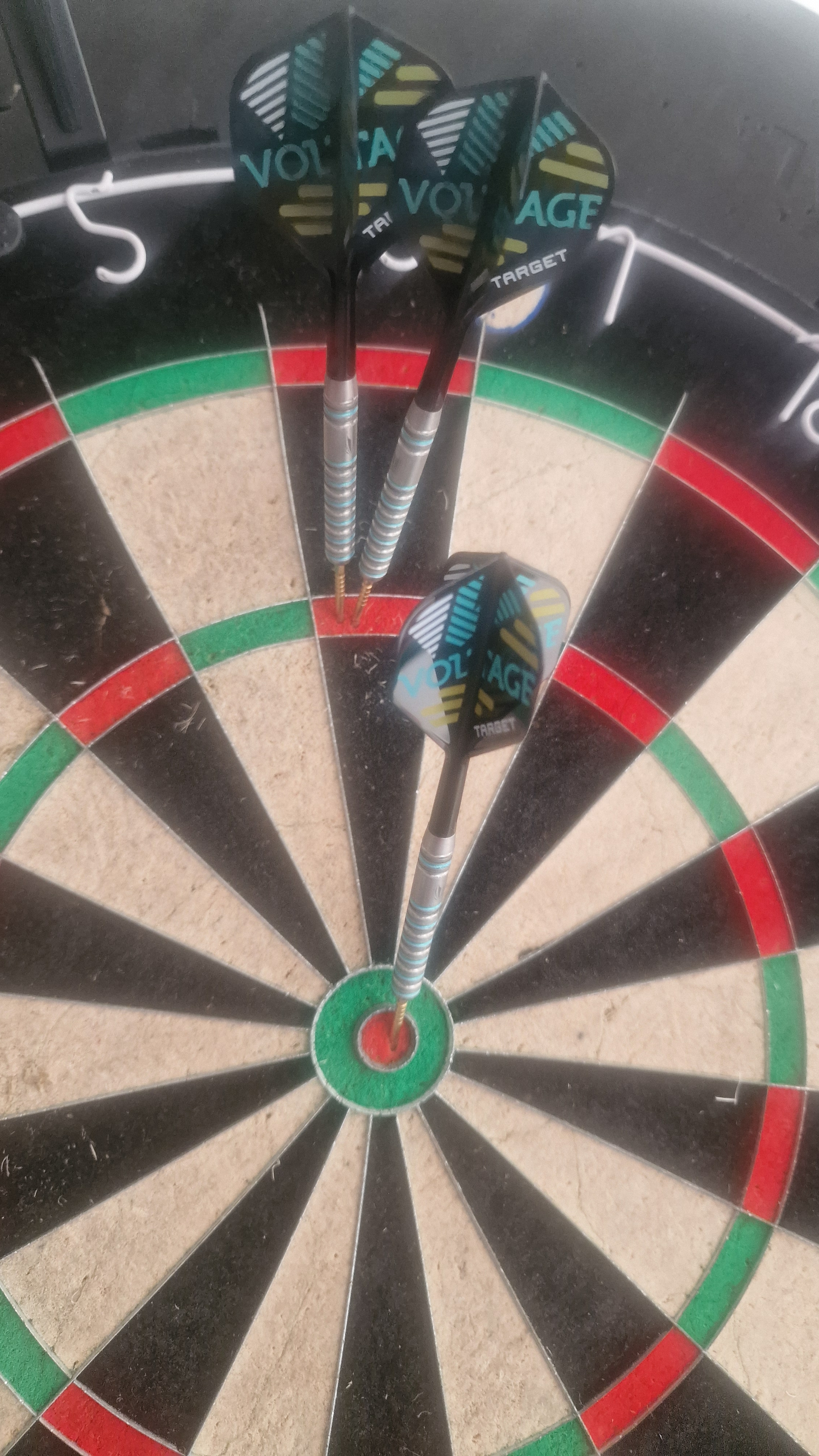 Rob Cross darts akwarystyka 180:)