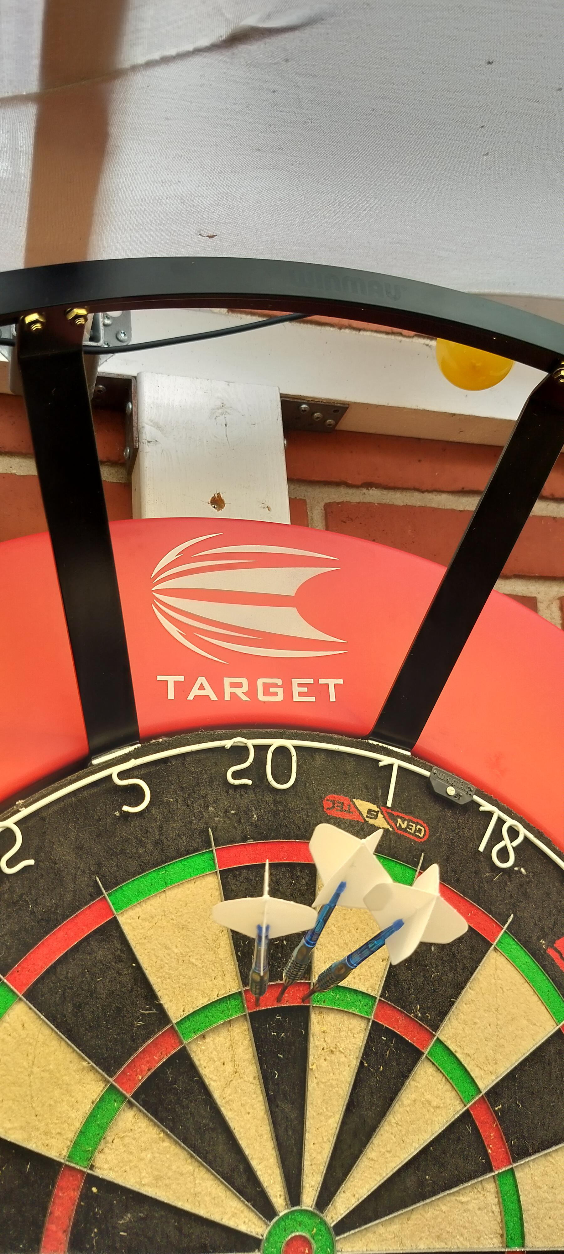 Winmau light and Phil Taylor darts