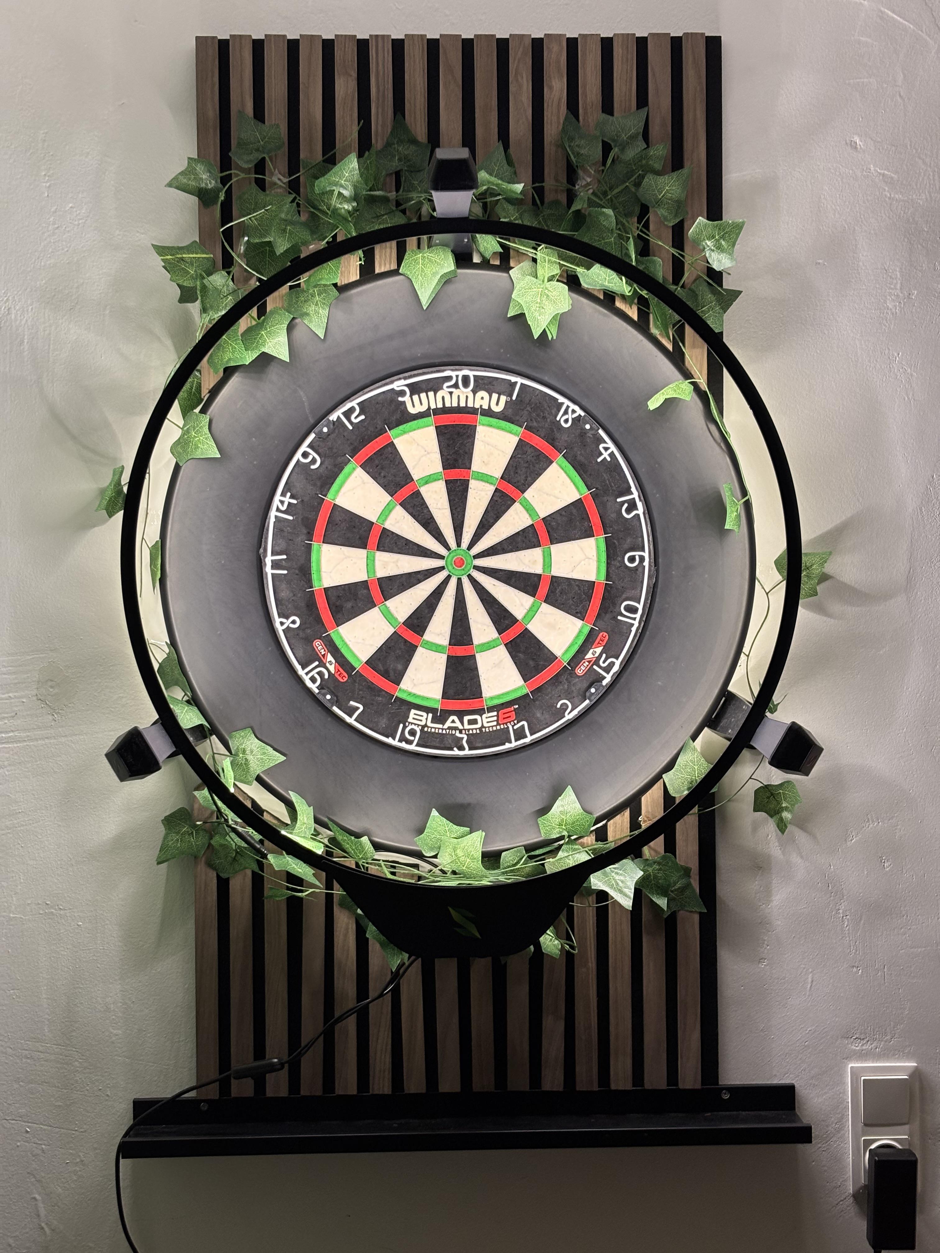 Scolia 2 , winmau Blade 6 