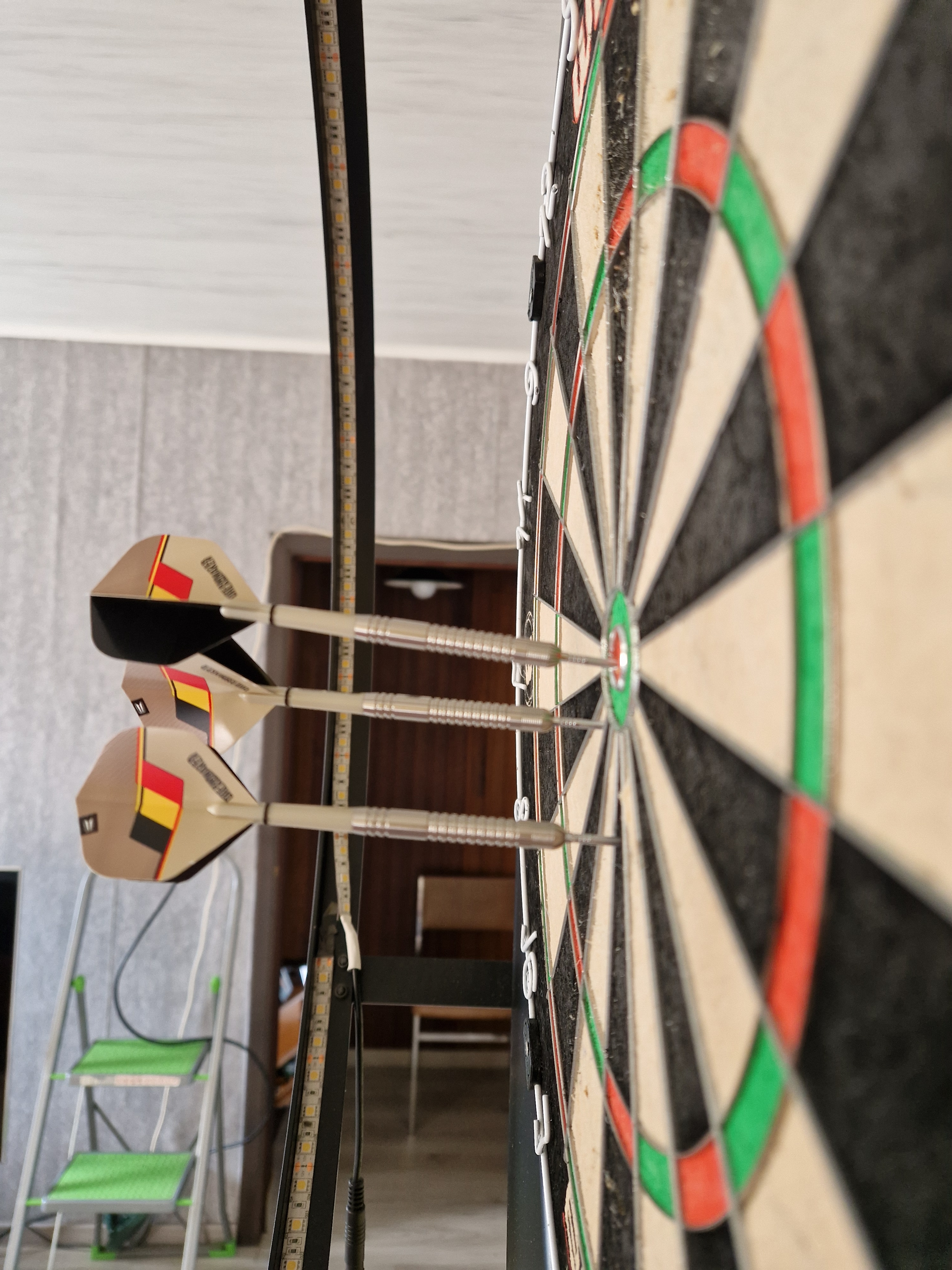 nieuwe dart pijlen van Dimitri van den Bergh super goede