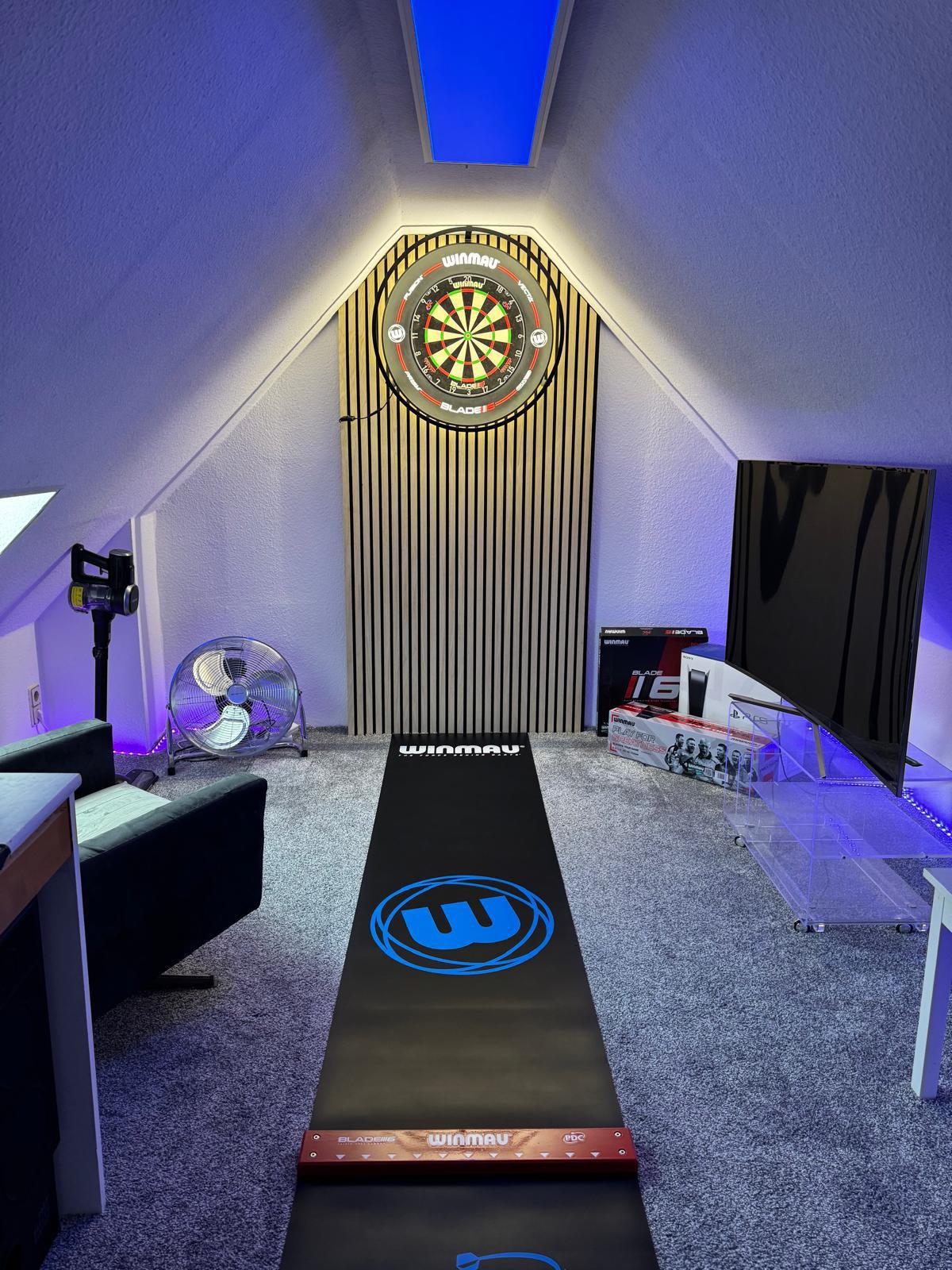 My private Ally Pally 🎯