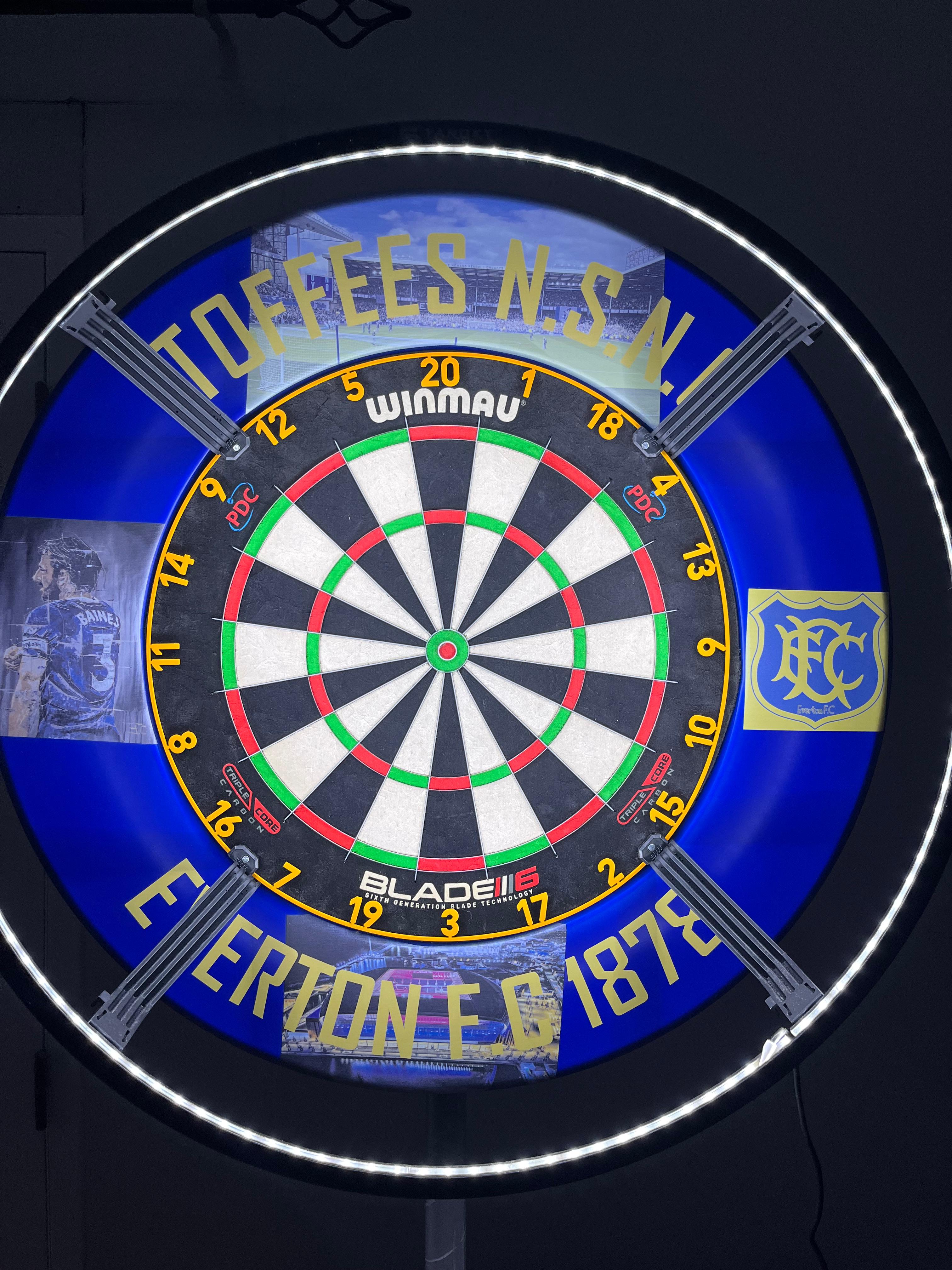 Dartboard and surround 