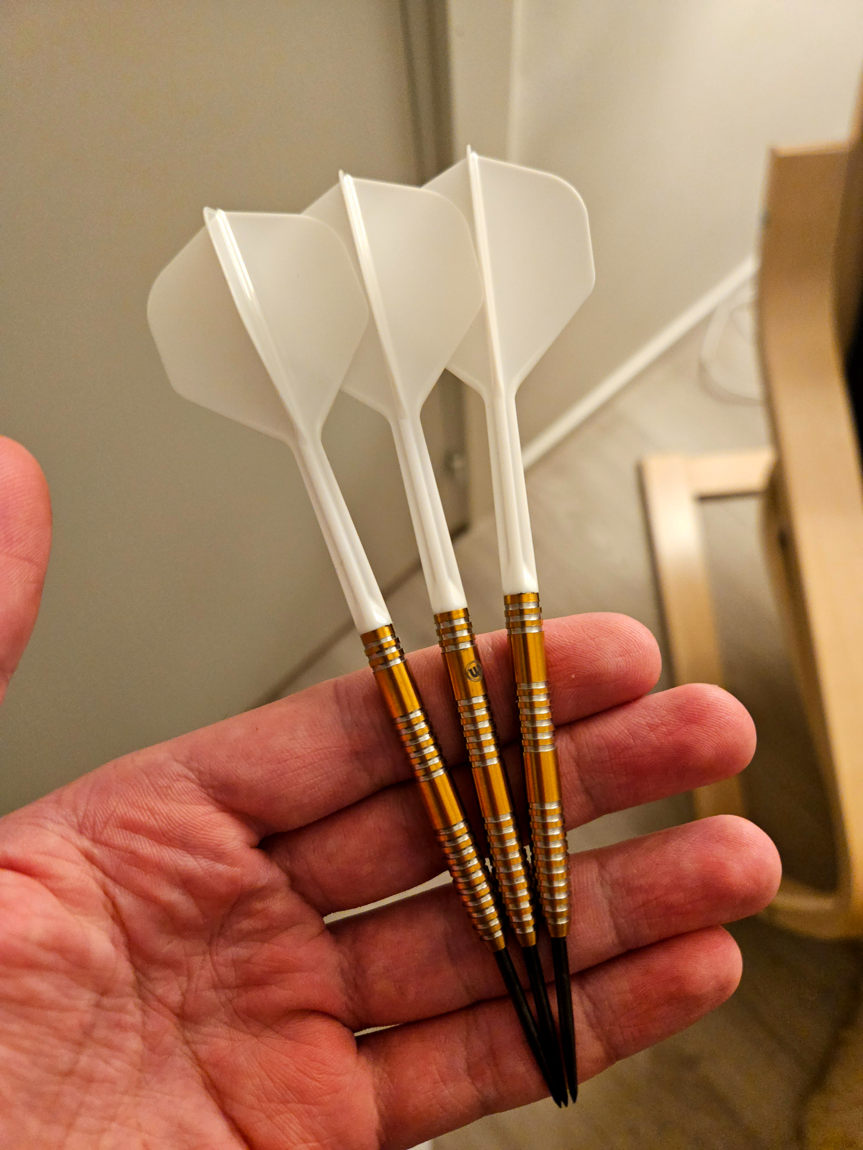 Jovica Radonjic darts