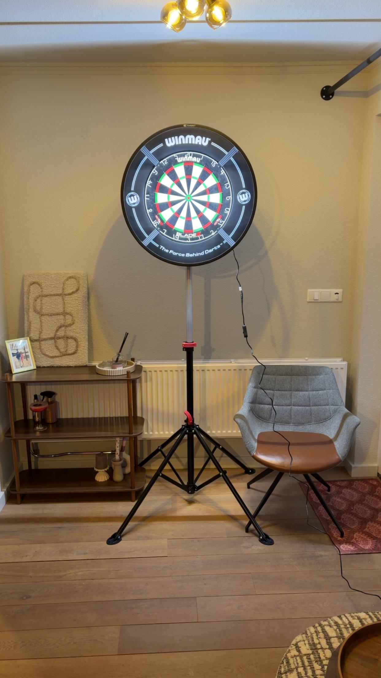 Darts setup