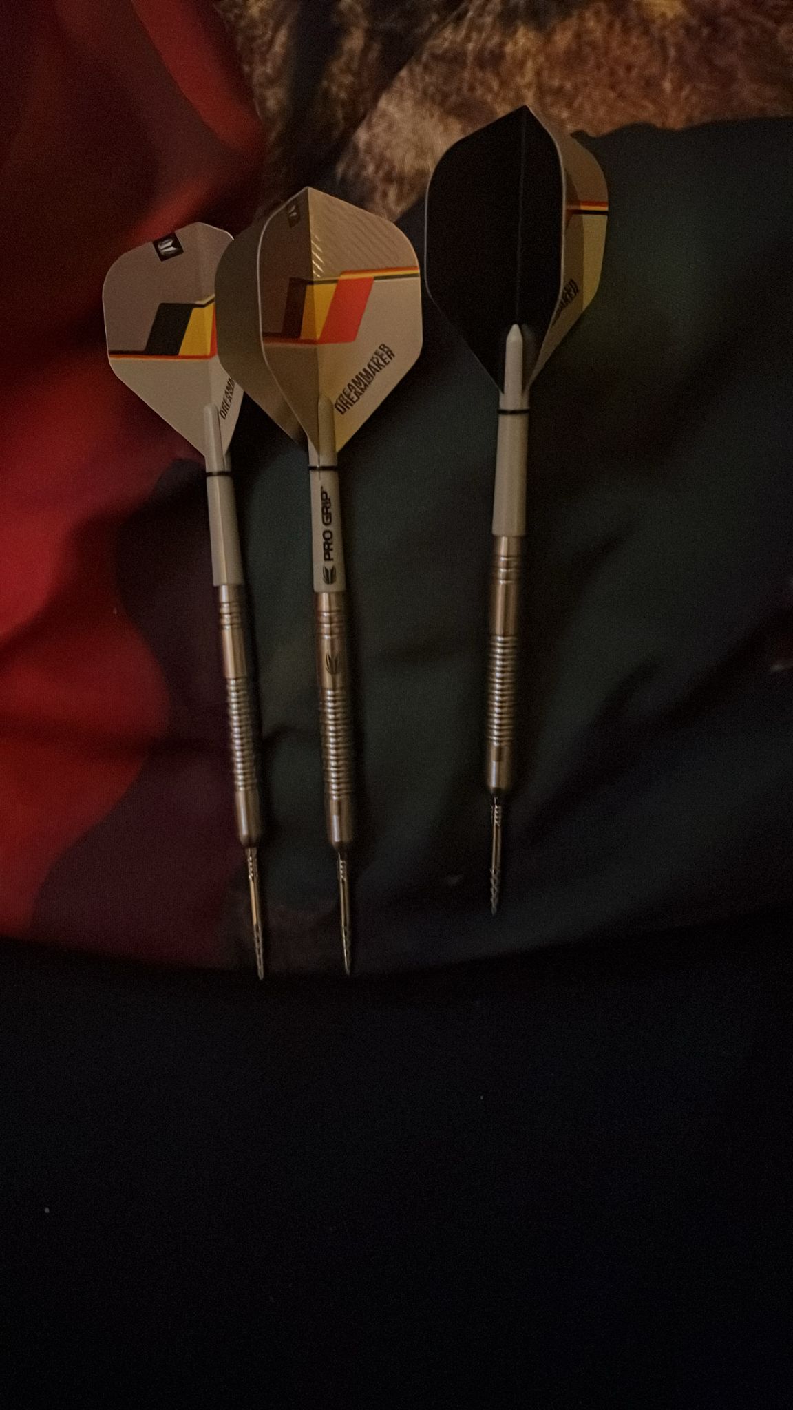 Dimitri van den berg 25 gram pijlen 