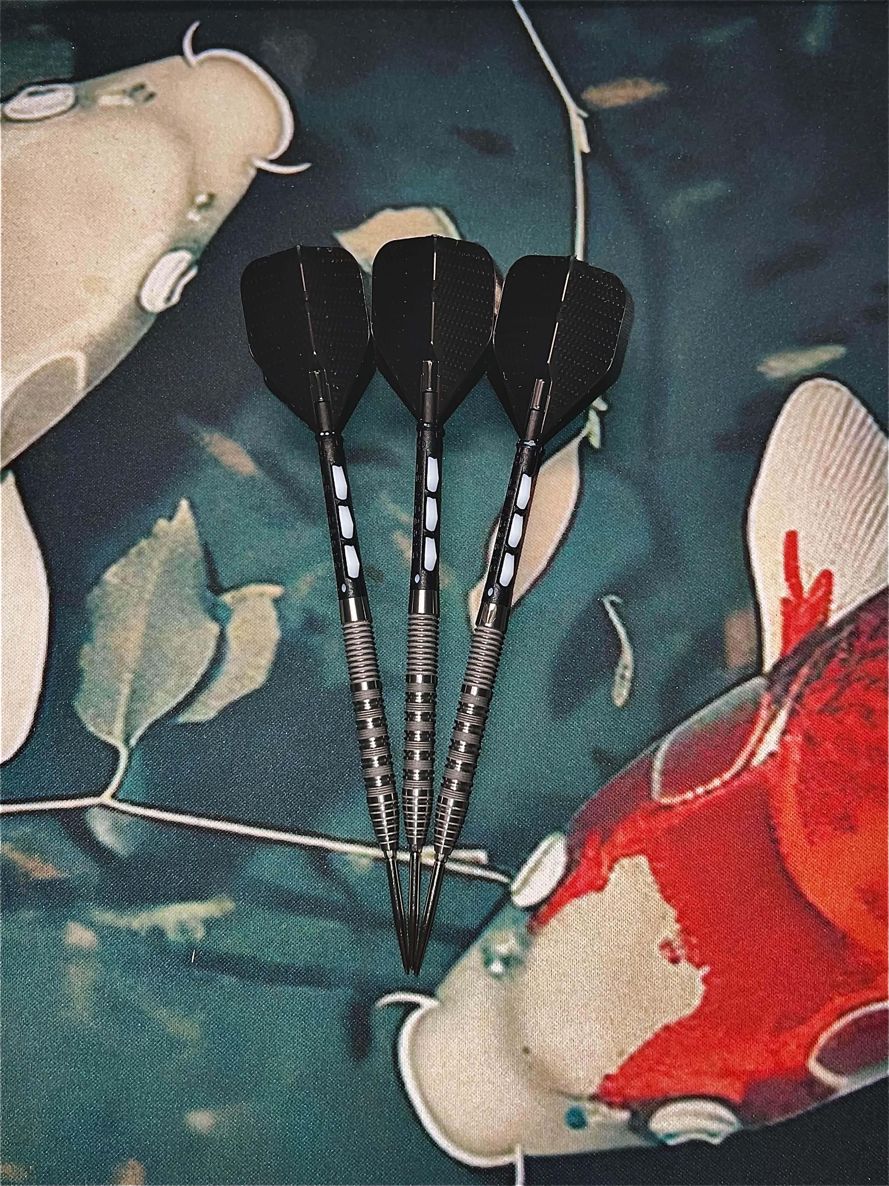 Bolide 01 barrel, harrows carbon shaft and L-style black dimple flights.
