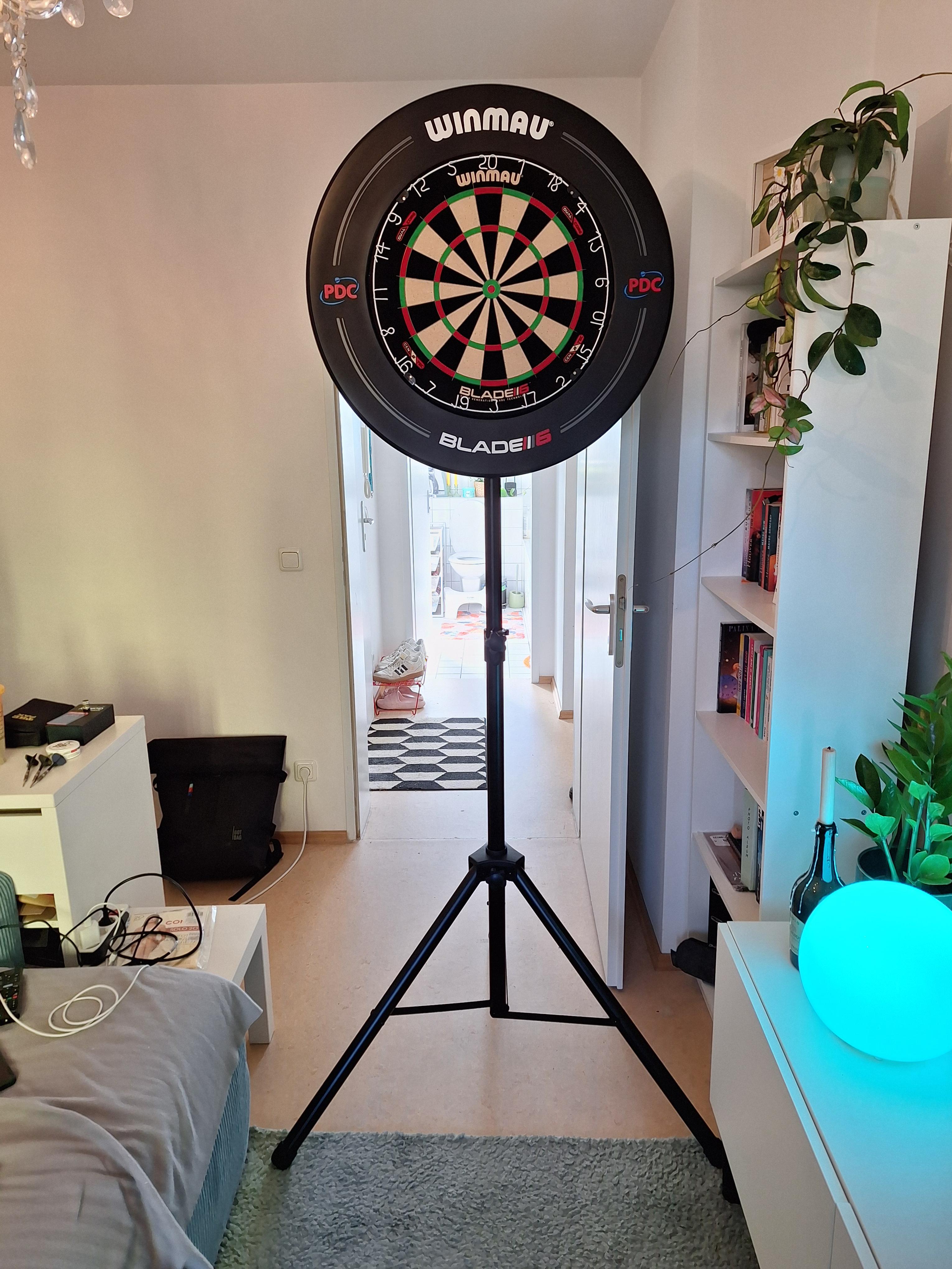 Dart-Setup