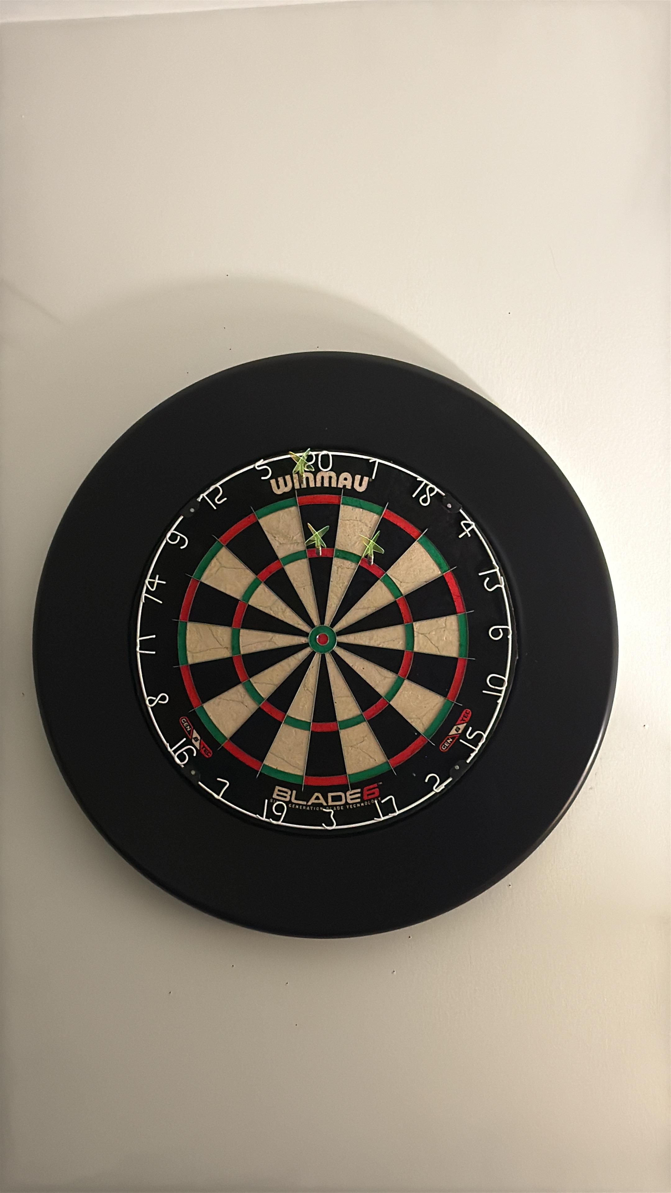 Winmau Blade 6