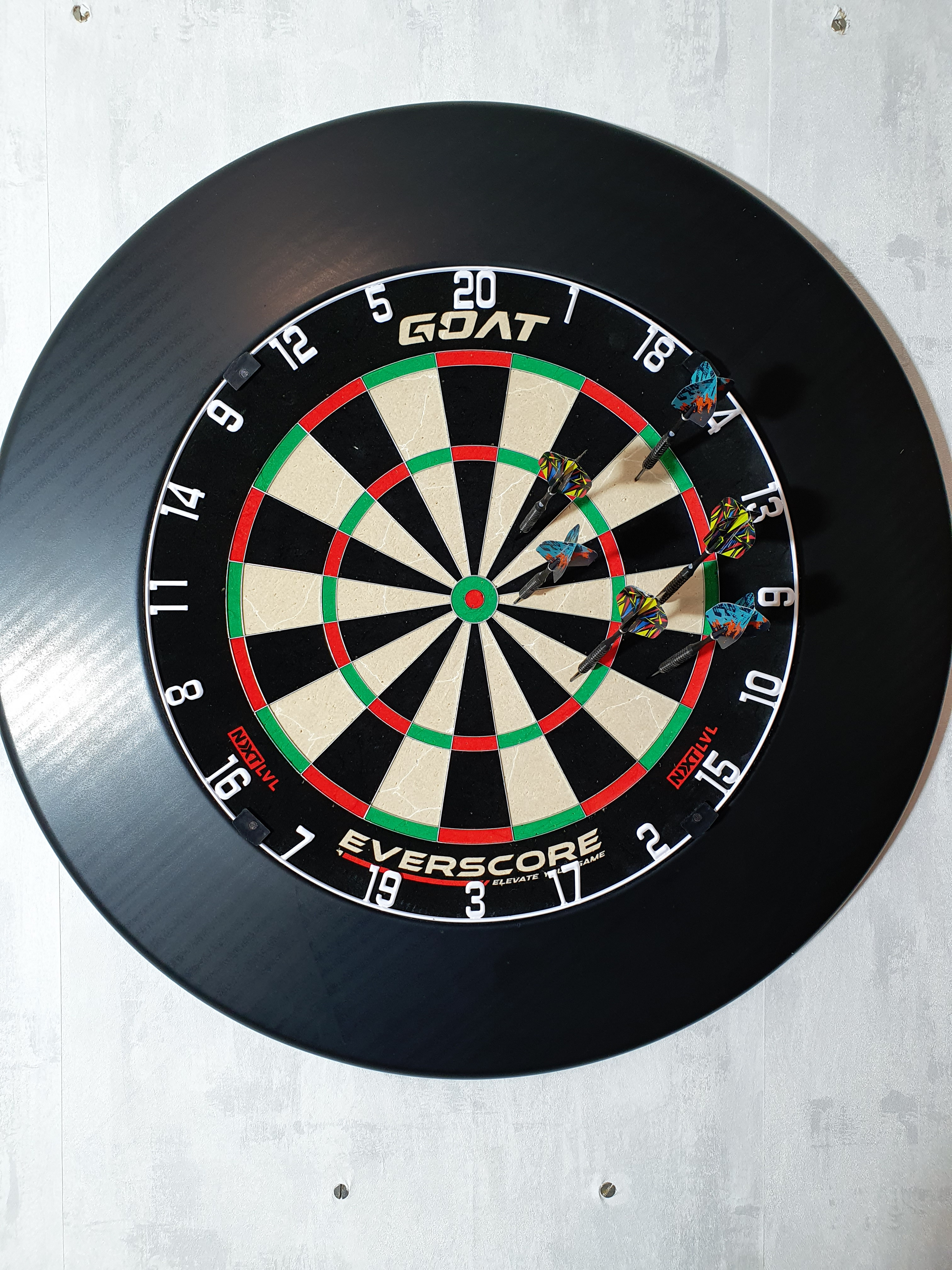 Prima dartbord+surround+shot pijltjes met goat flights