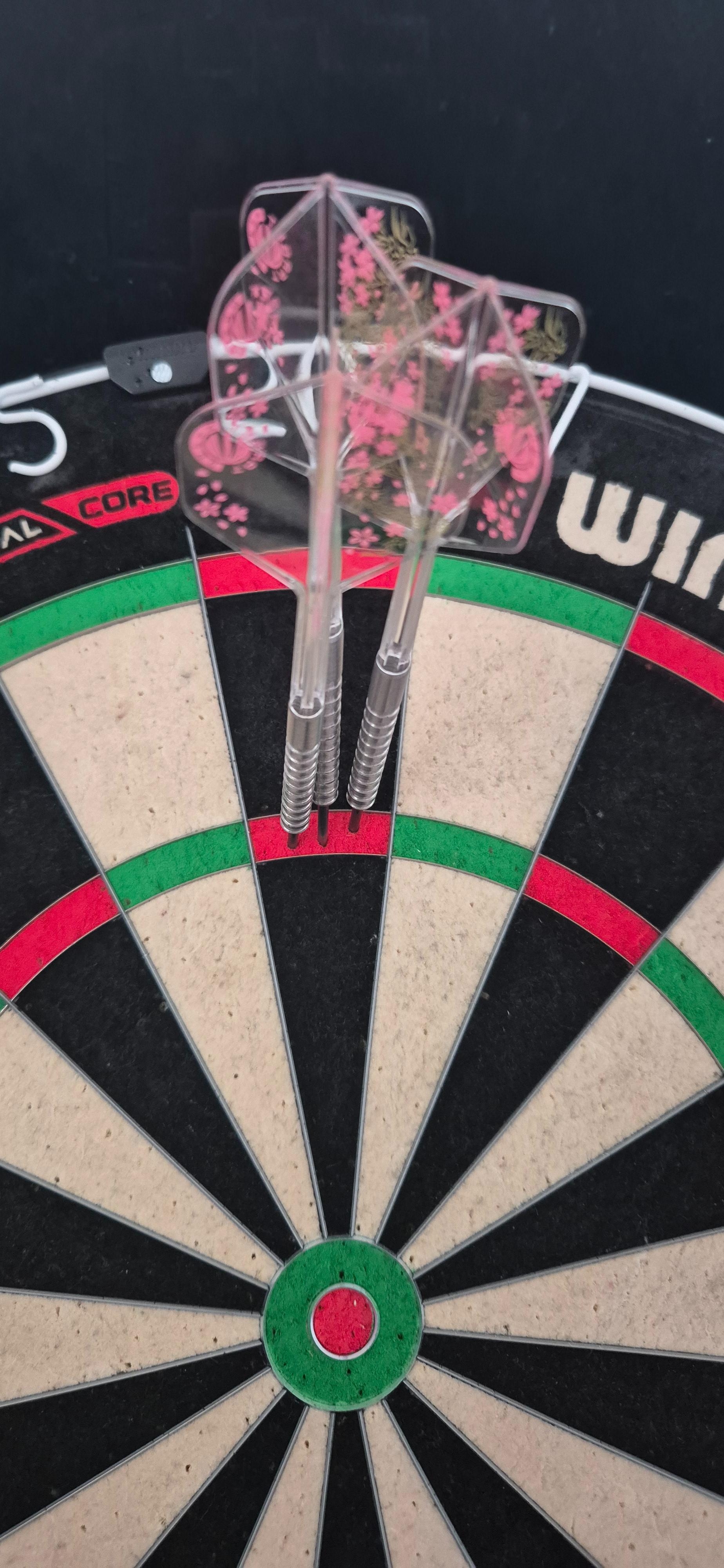 Dart setupp