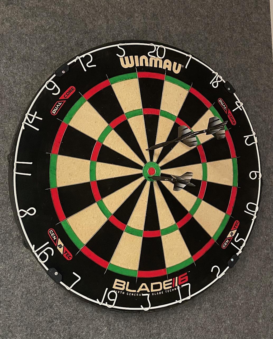 Unsere neue Dartscheibe