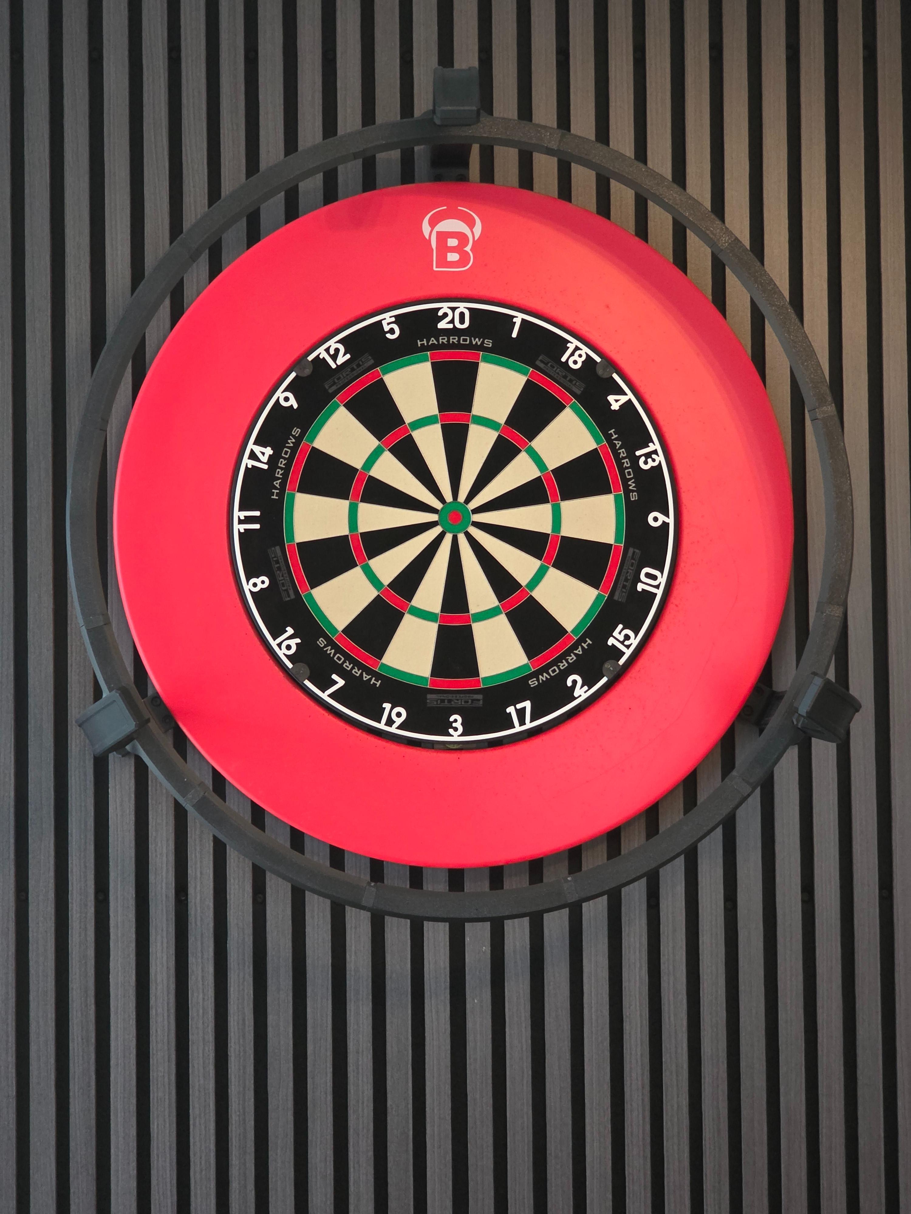 Harrows Fortis Dartboard
