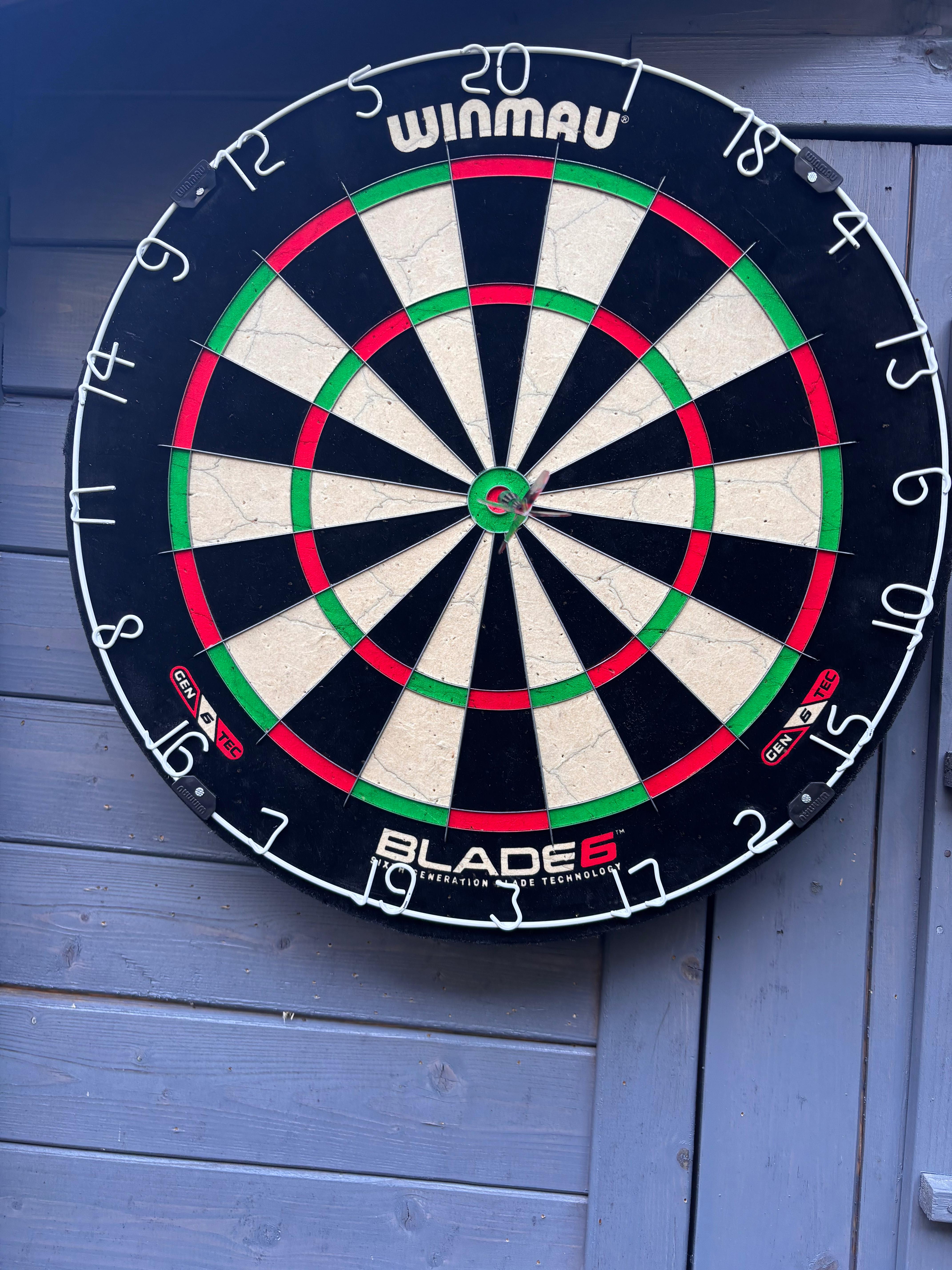 Unsere neue Dartscheibe