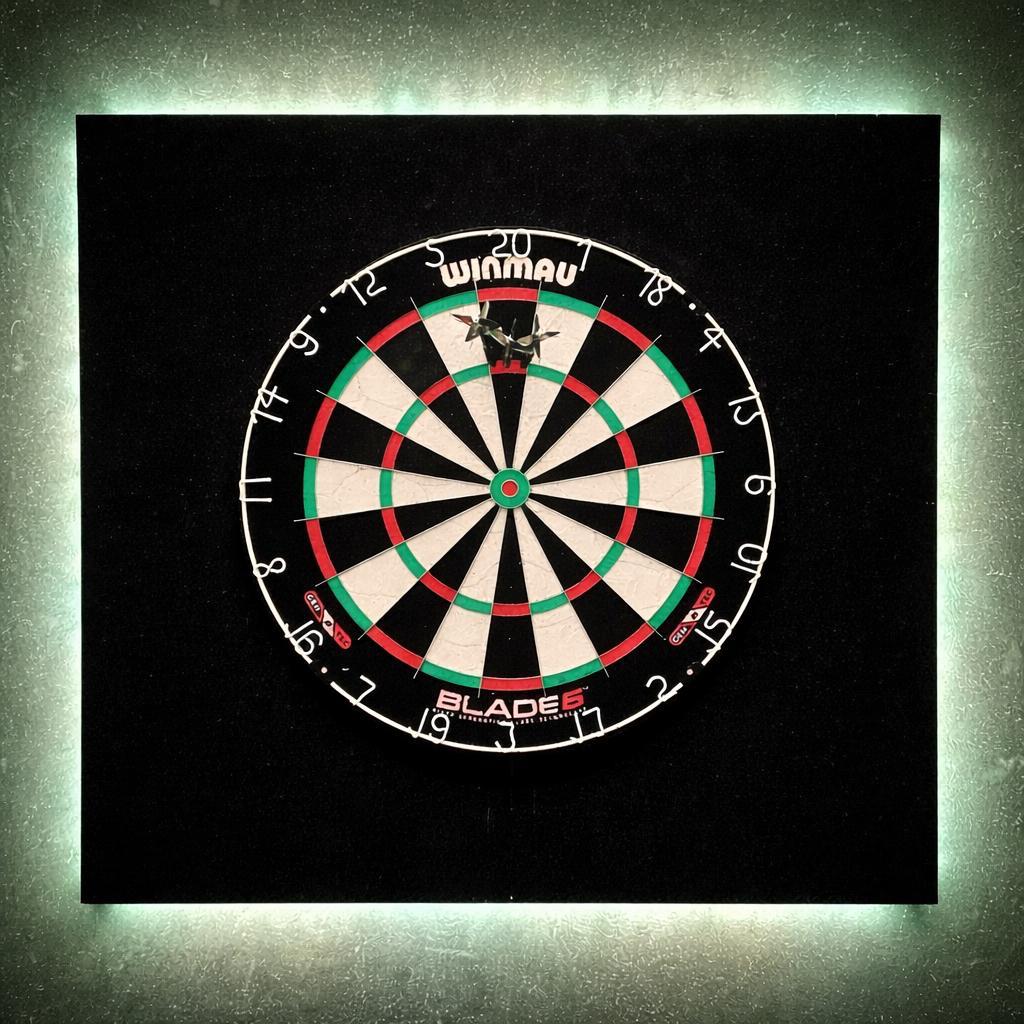 Winmau board and darts